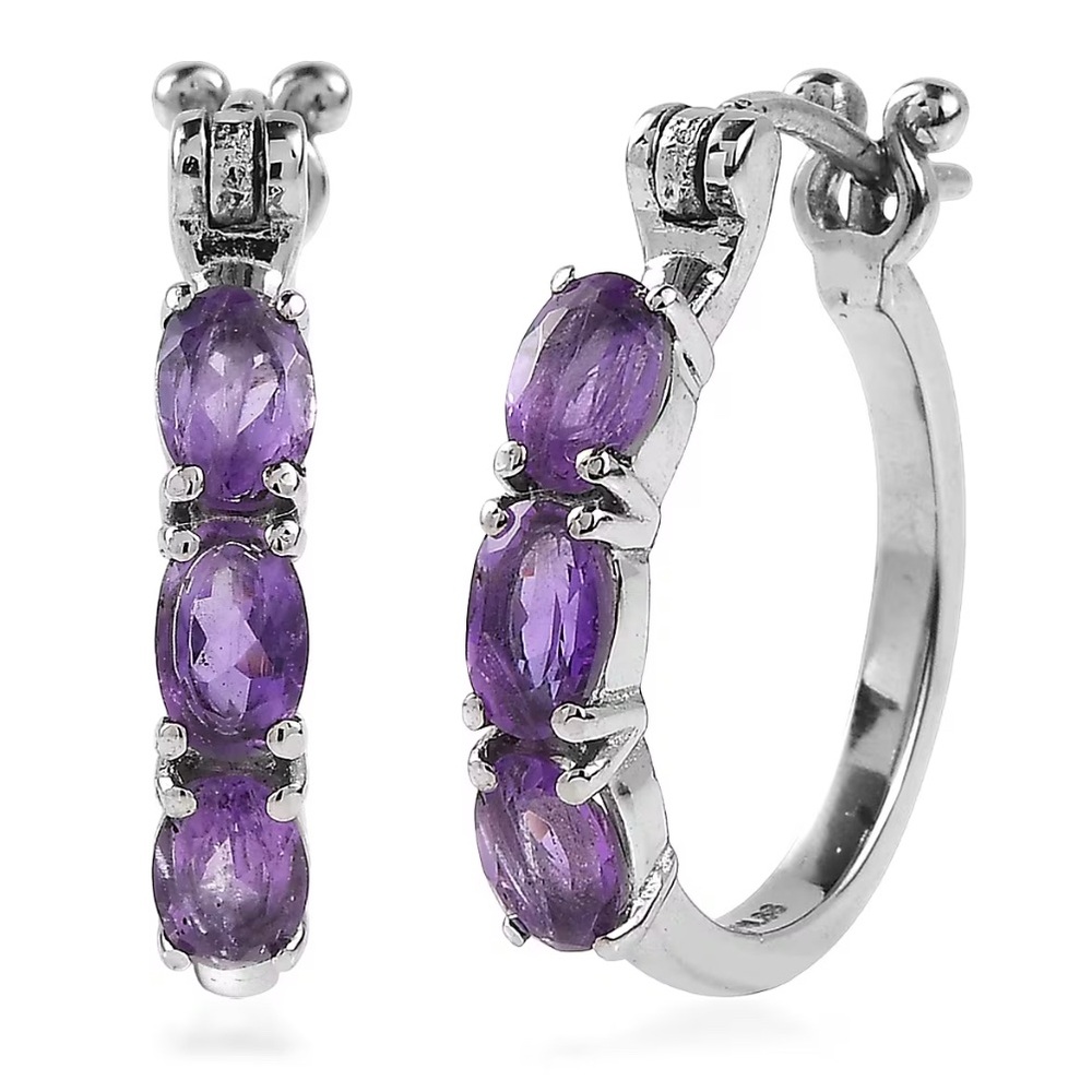 NWOT EverTrue African Amethyst 2.90 ctw Hoop Earrings in Stainless Steel